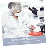 10-Pack Laboratory Watch Glasses for Experiments