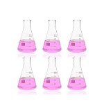 6-Pack 500ml Glass Erlenmeyer Flasks with Graduation