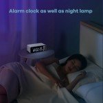 Wishluck 48KHz Jewelry Cleaner with LED Display