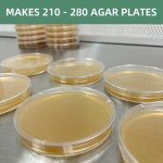 Myco Labs Malt Extract Agar Powder - 200 Plates