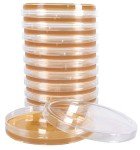 Lactobacilli MRS Agar Plates - Pack of 10