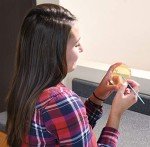 Lactobacilli MRS Agar Plates - Pack of 10