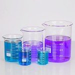 Stonylab 250 ml Graduated Glass Beaker with Spout
