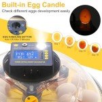 Automatic Egg Incubator for Hatching Chickens & Birds