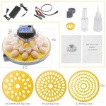 Automatic Egg Incubator for Hatching Chickens & Birds
