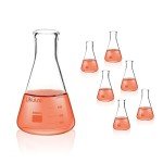 Set of 6 Borosilicate Conical Flasks, 500 mL