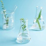 Erlenmeyer Flask Set - 3 Glass Beakers