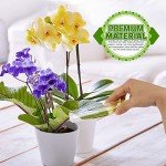 25 Clear Plastic Test Tubes with Cork Stoppers