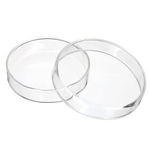 90mm Borosilicate Glass Petri Dishes with Lids