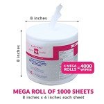 Wipes4Health Unscented Sanitizing Wipes - 4000 Count