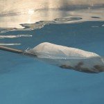 OASE Pondovac 5 Dual Pump for Ponds