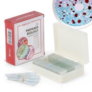 AmScope 25pc Prepared Microscope Slides Set