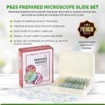 AmScope 25pc Prepared Microscope Slides Set
