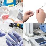 Mini Stainless Steel Lab Sampling Spoon Set (6)