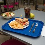 Blue Patterned Cafeteria Tray for Fast Food