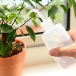 250ml Squeeze Wash Bottle - Lab Liquid Dispenser