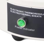 Electric Heating Mantle with Temperature Control 250W