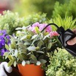 6-Pack 250ml Narrow Mouth Squeeze Bottles (Black)