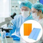 QWORK Stackable Microscope Slide Tray Set - 4 Pack