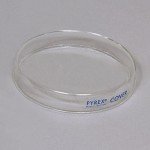 Pyrex Petri Dish - 100 mm x 20 mm