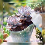 Plastic Squirt Bottle Set for Eyelash Extensions