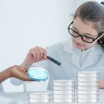 300 Pcs Sterile Petri Dishes with Lids