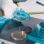 300 Pcs Sterile Petri Dishes with Lids