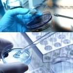 60 Pack Sterile Plastic Petri Dishes, 90mm