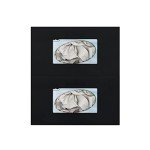 Black Glove Box Holder - Double-Sided Acrylic Dispenser