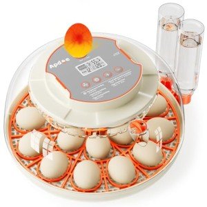 Automatic 18-Egg Incubator with Humidity Display