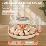 Automatic 18-Egg Incubator with Humidity Display