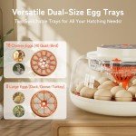 Automatic 18-Egg Incubator with Humidity Display
