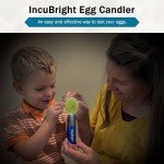 Incu-Bright™ Ultra Bright LED Egg Candler