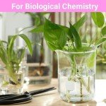 Relaxweex 8 Pack 500ml Glass Lab Beakers