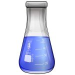 50ml Borosilicate Narrow Mouth Erlenmeyer Flask