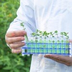 50-Pack Clear Test Tubes with Rack and Caps