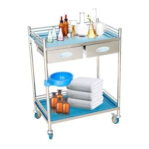 Stainless Steel 2-Tier Lab Serving Cart with Drawers