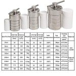 100ml Teflon Hydrothermal Synthesis Autoclave Reactor