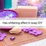 Eastchem Titanium Dioxide Powder for Crafts and Paint