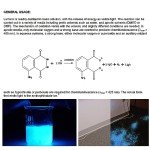 High Purity Luminol Powder 6 Grams Pack