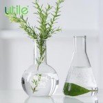 Narrow Mouth Glass Flat Bottom Flasks Set