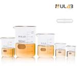 ULAB Glass Beaker Set with Magnetic Stir Bar