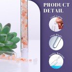 300 Pack Clear Plastic Test Tubes with Caps