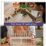 300 Pack Clear Plastic Test Tubes with Caps