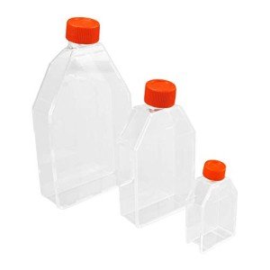Sterile 50ml Tissue Culture Flasks with Vent Caps (10)