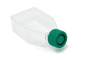 SPL Sterile T25 Cell Culture Flask, 200/Case