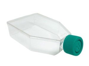 SPL T75 Sterile Cell Culture Flask with Filter Cap