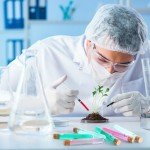 Clear Glass Test Tubes with Cork Stoppers - 50pcs