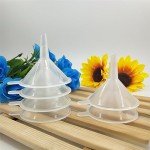 Mini Clear Plastic Funnels for Lab Use (12 Pack)