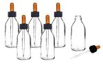EISCO 6-Pack 100ml Dropping Bottles with Droppers